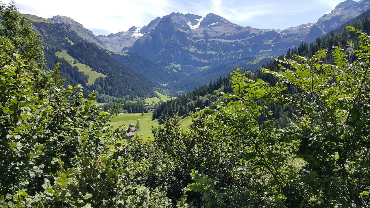 Bergluft Bed & Breakfast Lenk Exterior photo